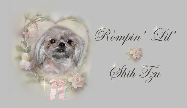 Tiny Chinese Imperial Shih Tzu Holly pedigree